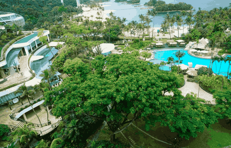 tropical urban retreat